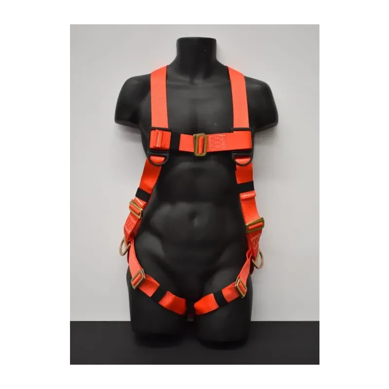 Arnés BSafe Cuerpo Completo de 3 Argollas